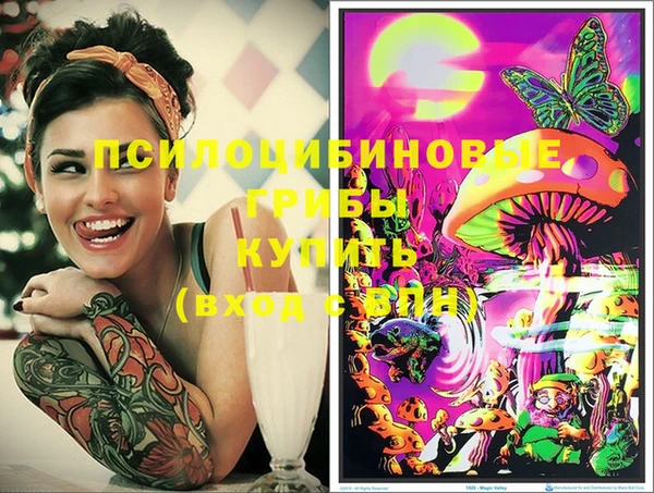 дурь Лиски