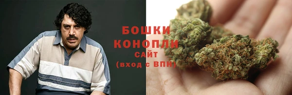 сатива Ладушкин