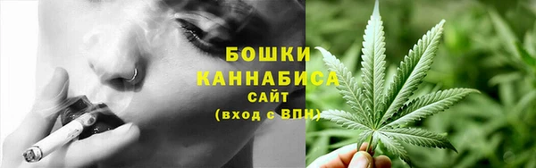 дурь Лиски