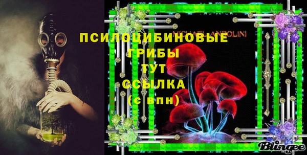 тгк Лагань