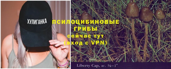 дурь Лиски