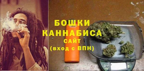 дурь Лиски