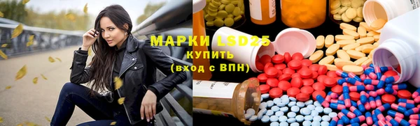 индика Майский