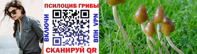 Псилоцибиновые грибы GOLDEN TEACHER  Николаевск 